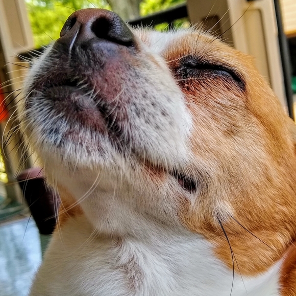 Meet your Posher, Beth - Picture 5 of 13